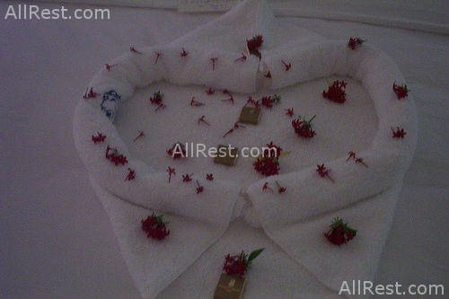 Ritz-Carlton Golf & Spa Resort 43